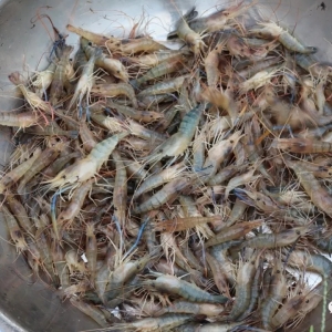 �_�����r���m�߸ߣ��߹����r�»����أ��ձ����r��Ȼ����