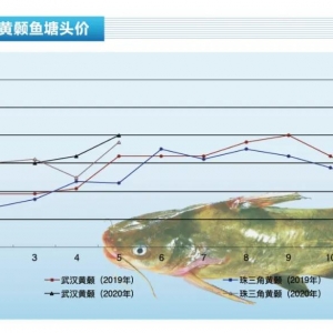 �S��~���Ј�ȱ�~���~�r(ji��)���q������ˮ�a(ch��n)ǰ�ء�2020��6�¿��Ј�څ��