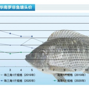 �_���~���Ј����N���ߜض��꣬֔������������ˮ�aǰ�ء�2020��6�¿��Ј�څ��