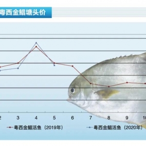 ���K�~��Խ���~�r(ji��)�����»�����ߵ�5.5Ԫ/�����ˮ�a(ch��n)ǰ�ء�2020��6�¿��Ј�(ch��ng)څ��(sh��)