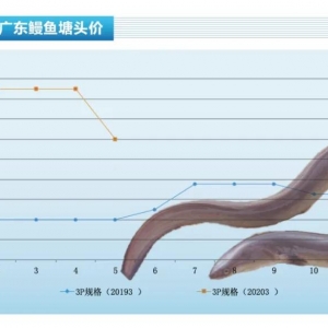 ���~����ꑡ��ձ��Ј��r���µ�������ˮ�aǰ�ء�2020��6�¿��Ј�څ��