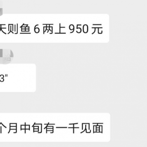 ȱ�~���a�~����ȫ�����q