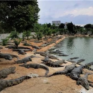 �ذ����{�~�����������ˮ�����������