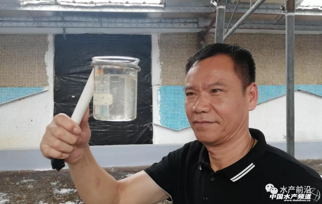 �o�������硱���o������������߮��a2000����