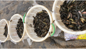 ������׵����q�ܑ{��ؔ��ؚw��λ��