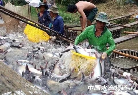 ​Խ�ϰ�ɳ�~���������������Ȼ֏���