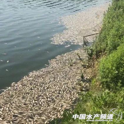 2020�����S��~�r���˟����˼����