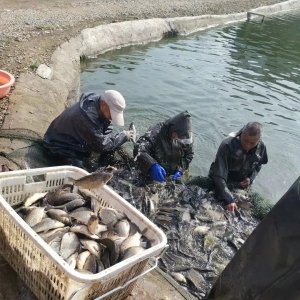 ȱ�~���a�~������������q��ͣ��