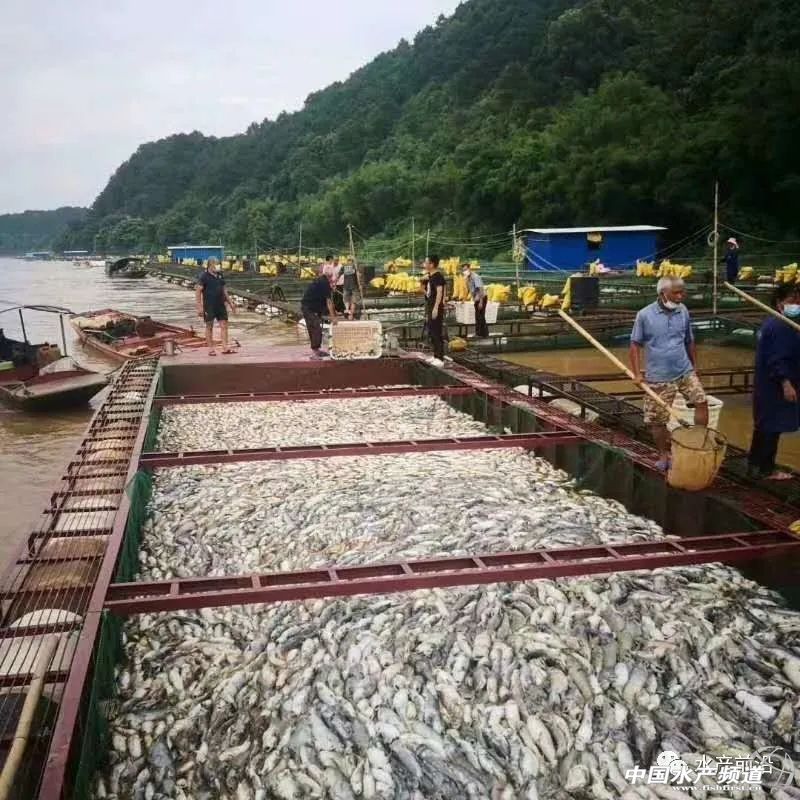 ����ӆ�α�ȡ�������~܇���^��܇����