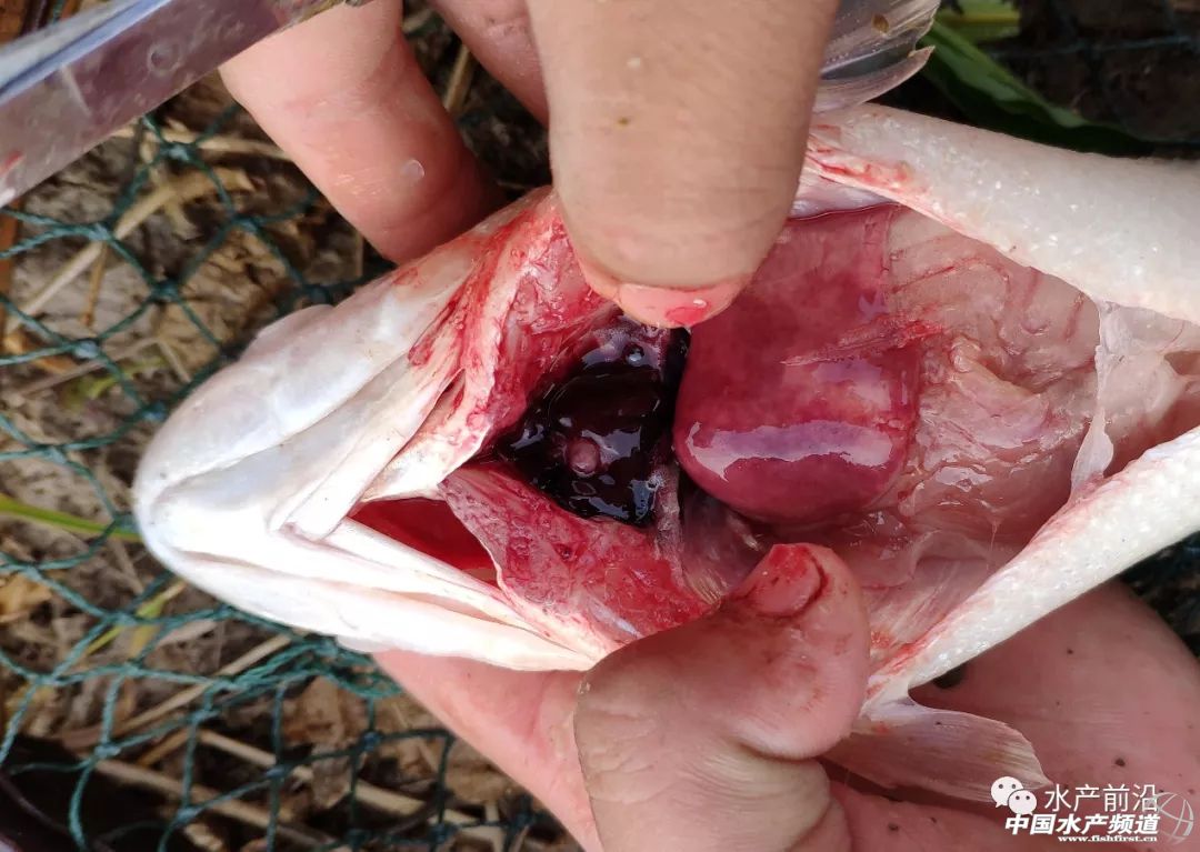 �K�������|���w�z���@Щ���}Ҫ����