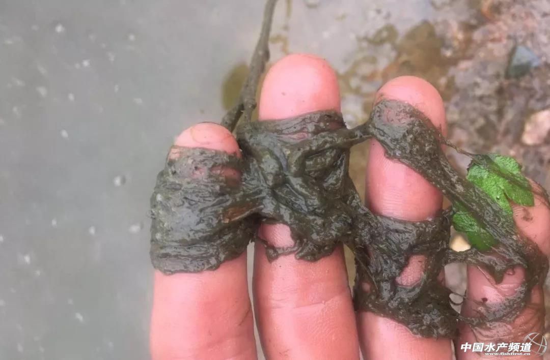 ��ش���+��40��ߜ���������������~�L�U�ӄ���