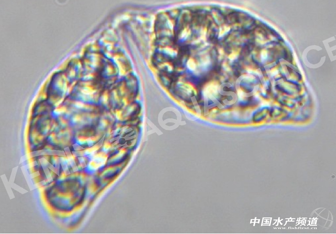 ���rԽ��Խ�y�B���B�ö�̝�ÑK����ô�k��