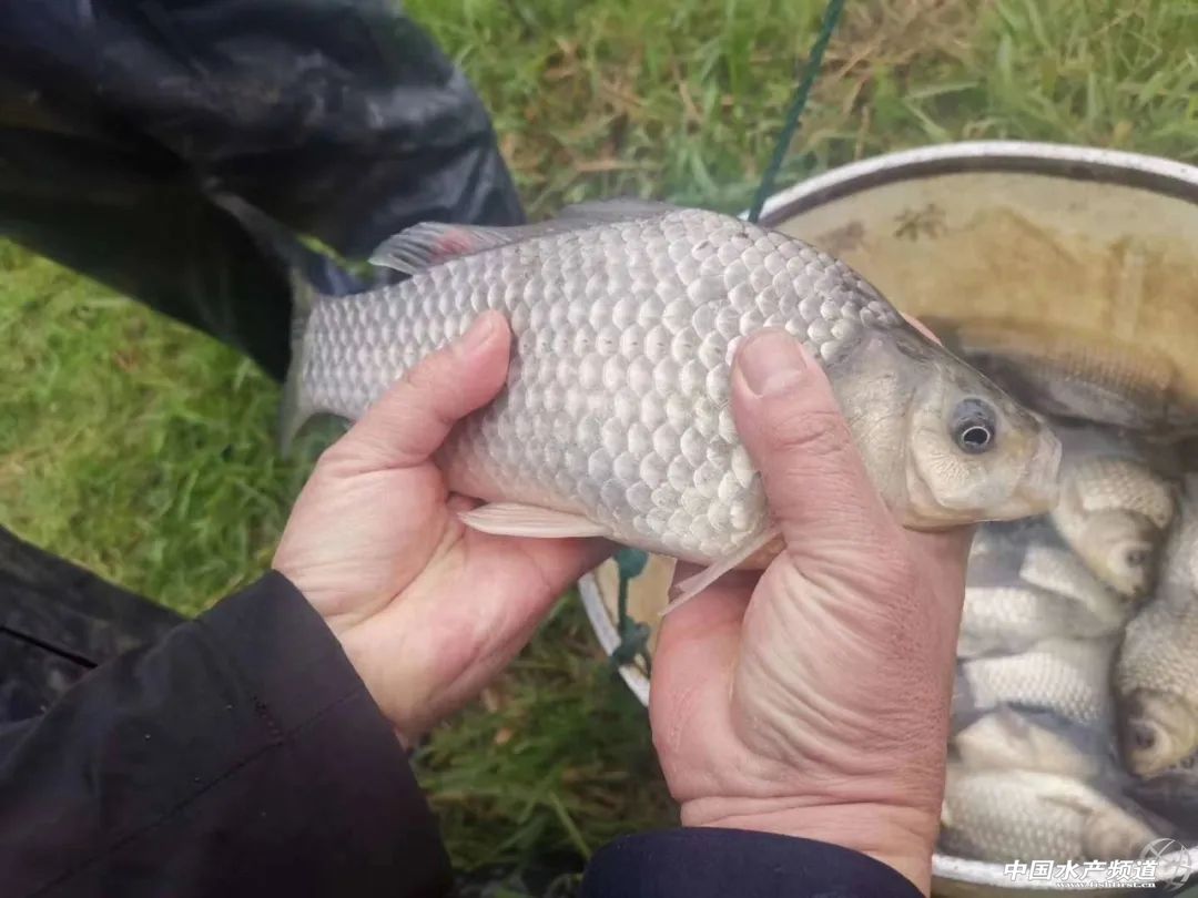 �a�~���鄓�¸ߣ��҂�������_�挦�w��Ѫ