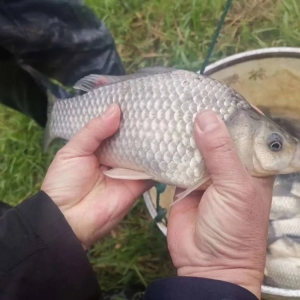 �a�~���鄓(chu��ng)�¸ߣ��҂�?n��i)�����_�挦�w��Ѫ