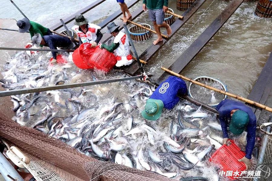 ��һ�l�������~�����Ƴɱ��r�����кܓ��n��