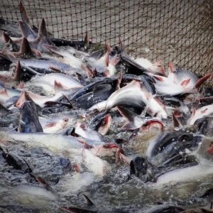 ����I(y��)���~��̝200�f���B(y��ng)��ҲҪ�ޕ���