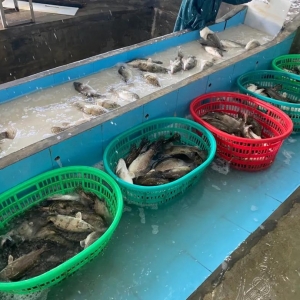 ���32Ԫ/���(ji��)���N����������ʡ�Z�~ȫ���ϝq��