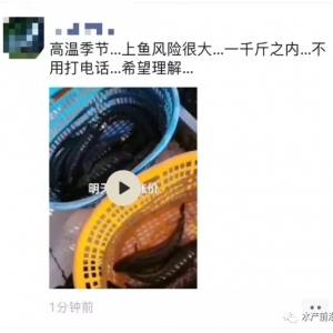 �V�|���~�rҪ�_��8Ԫ/�ȱ�~������?