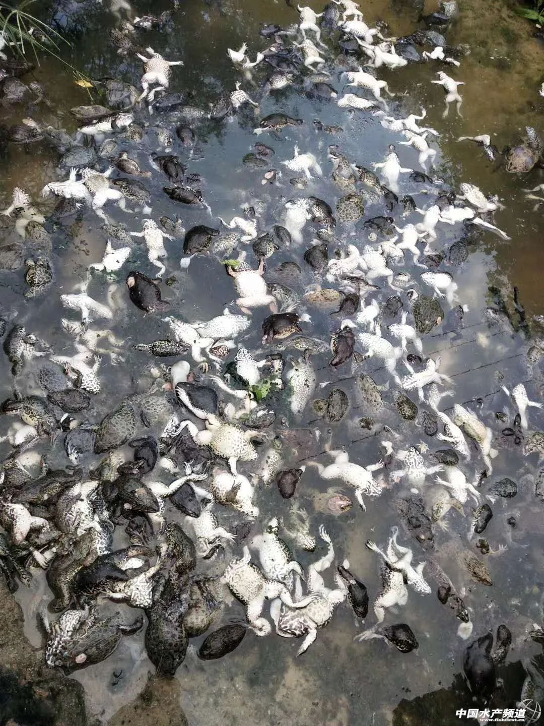 ��Ҋ�����Ű���֔��|�~�rз��K�ұ�����