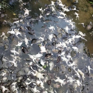 ��Ҋ�����Ű���֔�(sh��)�|�~�rз��K�ұ�����