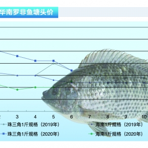 �_���~���Ј����N���ߜض��꣬֔������������ˮ�aǰ�ء�2020��7�¿��Ј�څ��