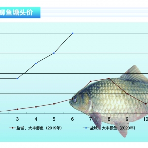 �a�~��������m�ϝq���o���Ѓr�o�С�����ˮ�aǰ�ء�2020��7�¿��Ј�څ��