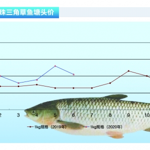 ���~�����錧�²��~����ʬF�»����^������ˮ�aǰ�ء�2020��7�¿��Ј�څ��