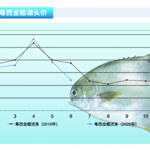 ���K�~����������ͨ���裬���K�~ȫ������������ˮ�a(ch��n)ǰ�ء�2020��7�¿��Ј�(ch��ng)څ��(sh��)