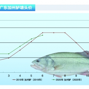 �����|�����Ǻ�����s�����鷴�����~�r��˷���x������ˮ�aǰ�ء�2020��7�¿��Ј�څ��