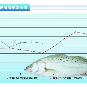 ���|�����鷴����ˮ܇����܇�r���»�������ˮ�aǰ�ء�2020��7�¿��Ј�څ��