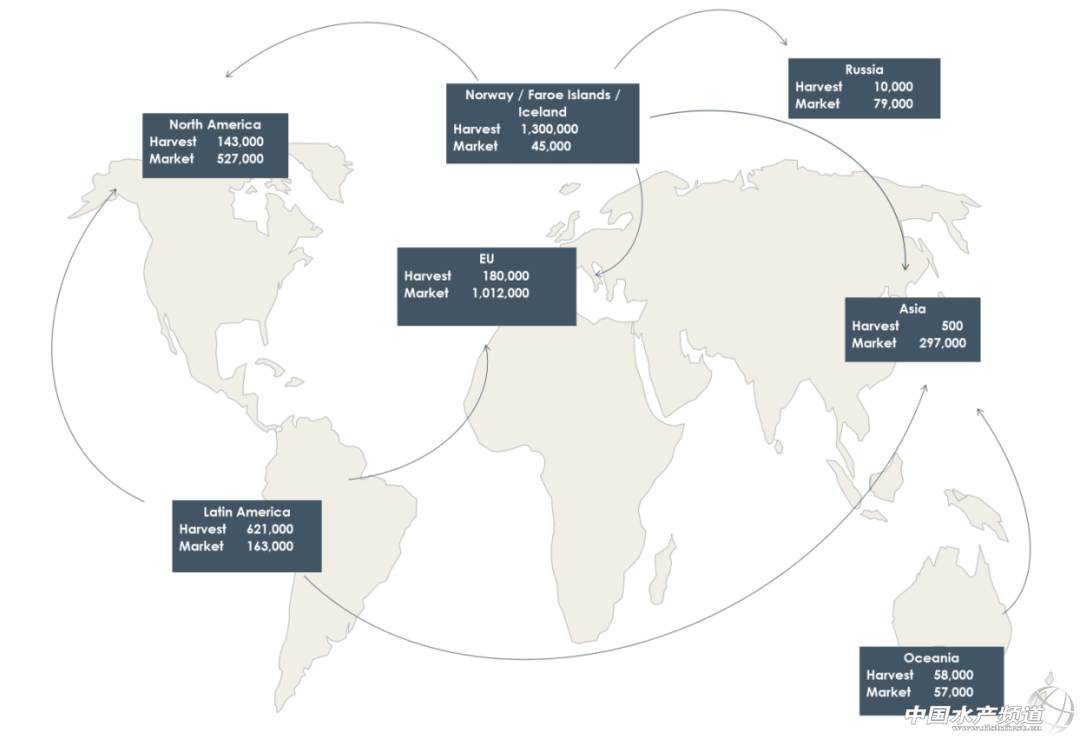 ȫ�����������~���a�������l��2020ȫ�������~�ИI�փ�