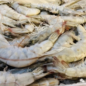 ���r���o���؅s��һ���У��Εrӭ�����죿��