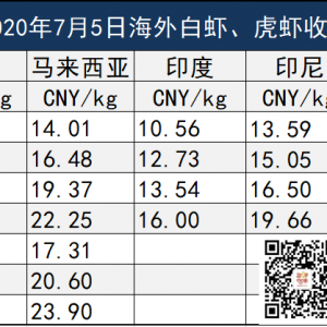 �򿂽y(t��ng)�o���������¹��S��������r������ȫ���o�������������I(y��)���ؑ�(y��ng)