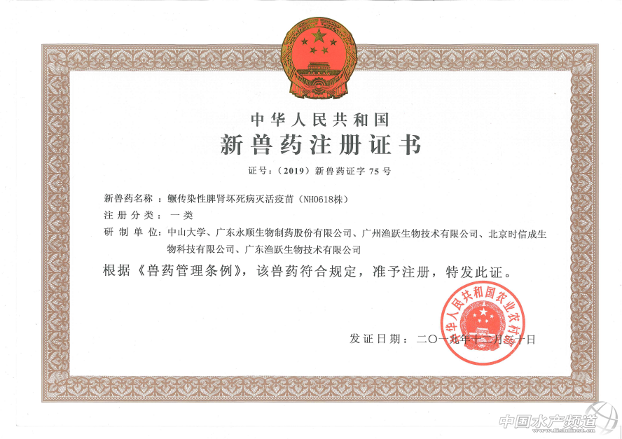 2020���Z�~�a�I�l�����@Щ����