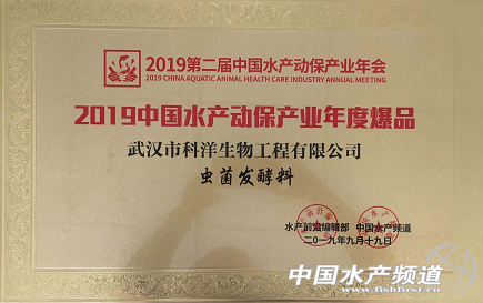 ��h����Ӳ�˝Oˎ�������O�������O��