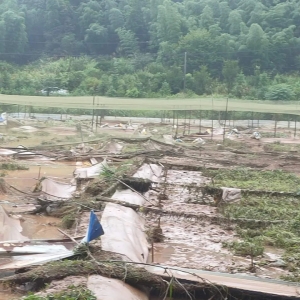 ��(qi��ng)���ꡢ��ˮ�u���������ڰ��ܓpʧ�K��