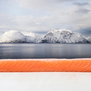 ��Ե���Ų�������~������B(y��ng)ֳ�ģ�