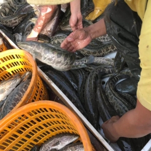 �w�١���10�������~(y��)����j��10.5Ԫ/��