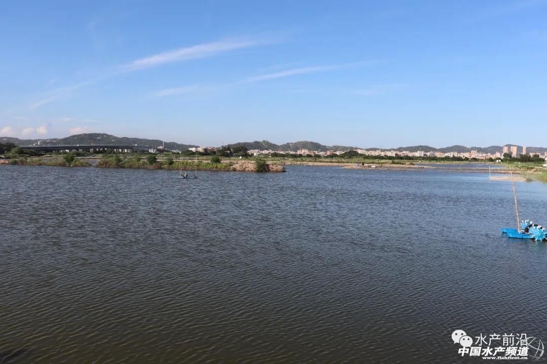 �r�r�����£�����Ҫ��ʲôٍ�X��