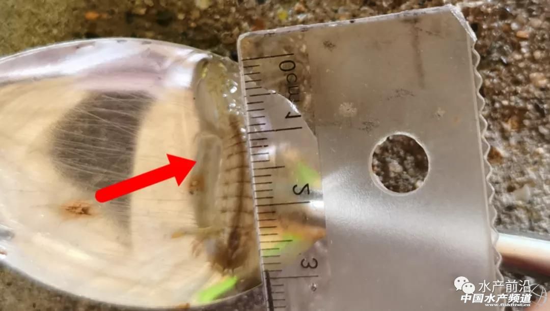 ��������ƤƤ�r���״��˹���ֳ�ɹ�