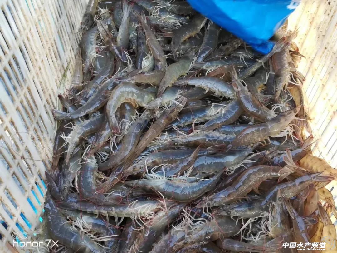 ���ˌ��r�Bֳ�y�}���B�r�������ɳ�3�fԪ��