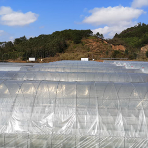 �չ���(y��ng)����ǧ�f���V����һ��a(ch��n)�I(y��)���𣬃r����m(x��)�߸ߣ��@��������������ǰ�^