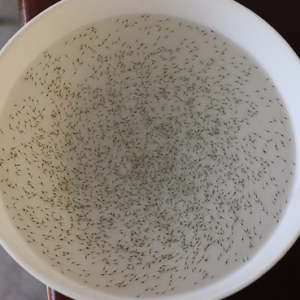 �r�I��ʎ���r����ԡ������y�������߸ߡ����r���m�M�ڣ�����߀�B�r�᣿|�rӍ