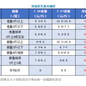 ȫ���ϝq��7��27�ո������~(y��)�������^��(b��o)�r(ji��)