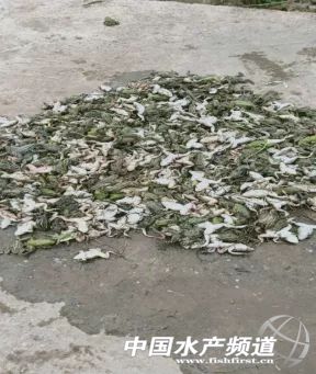 ����֮��ĺڰ����Bֳ�����c��������