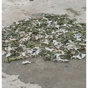 ����֮��ĺڰ����B(y��ng)ֳ�����c��������