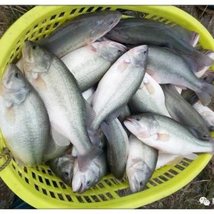 24Ԫ/��@������|�r���I��ȫ������ɽ���~��m���У�