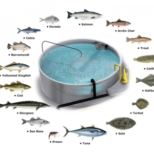 ��ʲôRAS��ѭ�h(hu��n)ˮ�B(y��ng)ֳ����Ȼʧ���Ӷ���