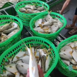 ���~�������У����K�~�r���y