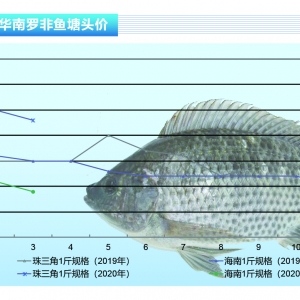 �_���~�������~�y���������ں��ӡ�����ˮ�aǰ�ء�2020��4�¿��Ј�څ��